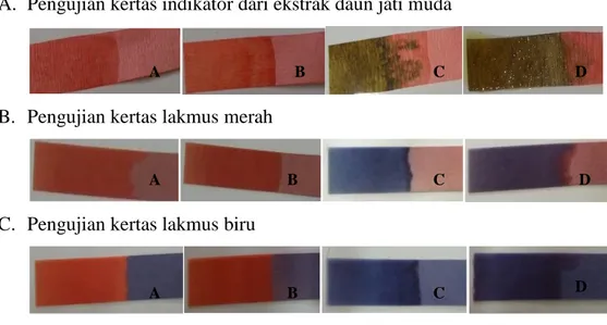 Gambar 4. Perbandingan  hasil pengujian kertas indikator asam basa dari ekstrak daun jati  muda dengan  kertas  lakmus  merah  dan  biru;  (A)  larutan  asam  kuat  (HCl),  (B)  larutan  asam  lemah  (CH 3 COOH),  (C)  larutan basa kuat (NaOH) dan (D) laru