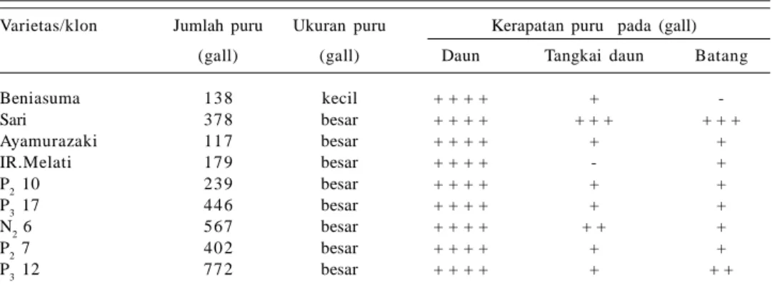 Tabel  1.  Jumlah,  ukuran  dan  kerapatan  puru  pada  beberapa  varietas  dan  klon  harapan ubijalar, Tumpang, MK 2006.