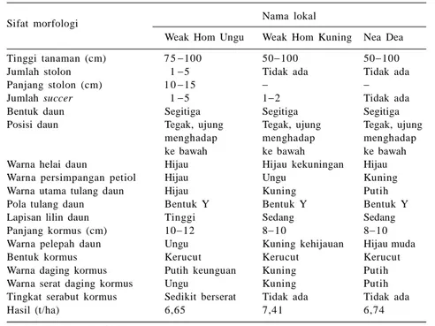Tabel 7. Beberapa sifat morfologi tiga kultivar talas lokal Papua.