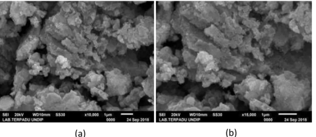 Gambar 5. Analisis morfologi nanopartikel perak menggunakan SEM (a). perbesaran  10.000x dan (b)  15.000x 