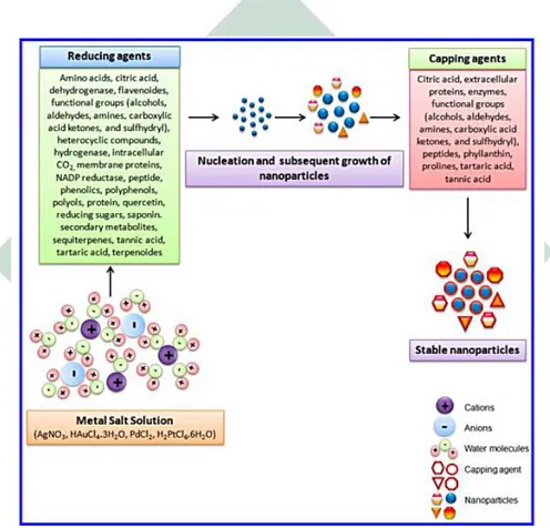 Gambar 2.4 Proses pembentukan nanopartikel  Sumber : Akhtar et al., 2013 