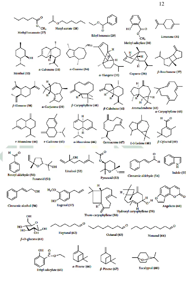 Gambar 2.7 Senyawa bioaktif pada Ficus carica L.  Sumber : Mawa et al., 2013 