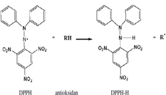 Gambar 4. Reaksi Antara Antioksidan dan  Molekul DPPH (Prakash, dkk., 2001).