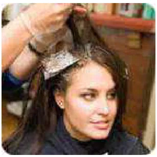 Gambar 2.5 Mewarnai Rambut 