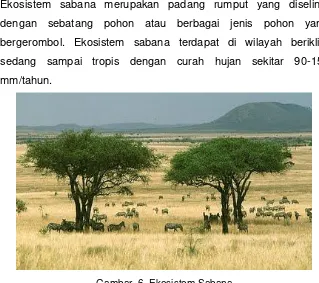 Gambar  5. Fauna Herbivora di Ekosistem Padang Rumput 