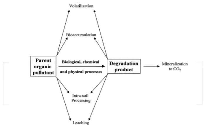 Figure 1. Summary of environmental fates on organic pollutants in soil. 