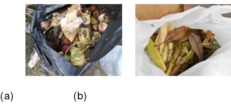 Gambar 1.3 Sampah yang dapat dikomposkan (a) sisa makanan (b) sampah kebun 