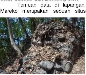Gambar 7. Sisa-sisa struktur yang diduga bekas kedaton Tidore di Toloa  (Sumber: Mansyur, dkk 2016) 