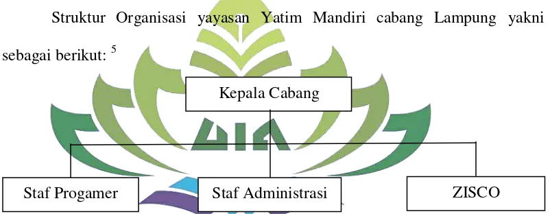 Gambar 02. Struktur Organisasi Yatim Mandiri cabang Lampung 