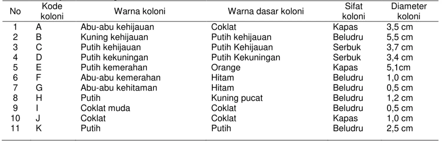 Tabel 1. Deskripsi Morfologi Koloni Tiap-Tiap Macam Koloni Kapang Kontaminan pada Kue Pia yang  Dijual di Malang