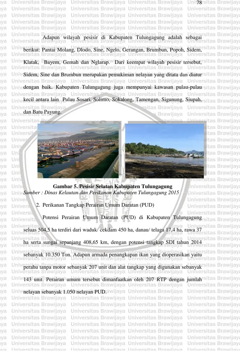 Gambar 5. Pesisir Selatan Kabupaten Tulungagung  Sumber : Dinas Kelautan dan Perikanan Kabupaten Tulungagung 2015  