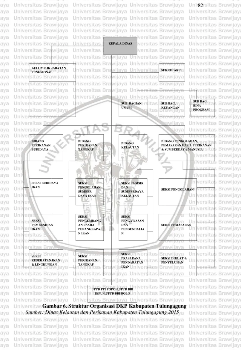 Gambar 6. Struktur Organisasi DKP Kabupaten Tulungagung  Sumber: Dinas Kelautan dan Perikanan Kabupaten Tulungagung 2015 