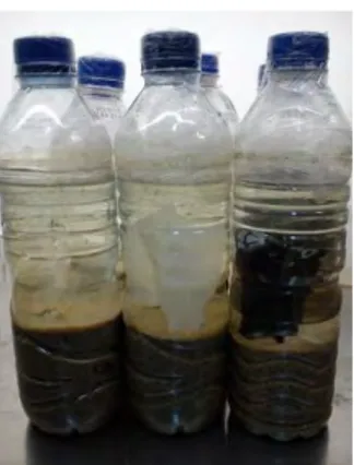 Gambar  4.1  Kolom  Winogradsky  Biodegradasi  Plastik  Hitam,  Putih dan Transparan. 