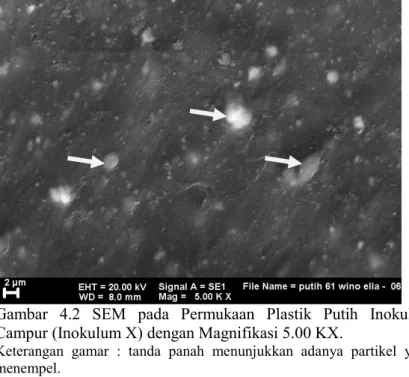 Gambar  4.2  SEM  pada  Permukaan  Plastik  Putih  Inokulum  Campur (Inokulum X) dengan Magnifikasi 5.00 KX