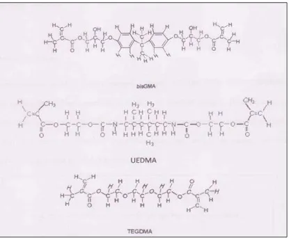 Gambar 1. Struktur kimia Bis-GMA, UEDMA, dan TEGDMA.1