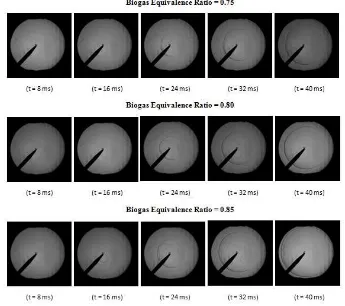 Fig. 5. Flame Radius vs Elapsed Time of Biogas-Air Mixtures  