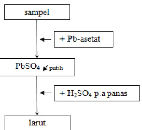 Gambar 3.5. Diagram Alir Uji Kualitatif Sulfat 2 