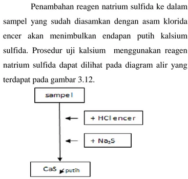 Gambar 3.12. Diagram Alir Uji Kualitatif Kalsium 2 