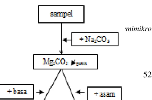 Gambar 3.13. Diagram Alir Uji Kualitatif Kalsium 3  f.  Magnesium (Mg 2+ ) 