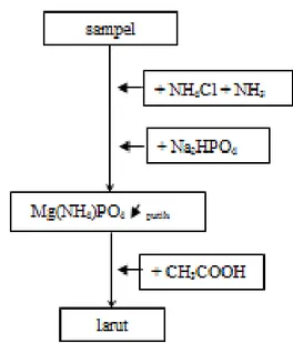 Gambar 3.16. Diagram Alir Uji Kualitatif Magnesium 3 