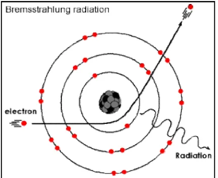 Gambar 2.3 Proses Sinar X Bremsstrahlung (Bushberg, 2001)  
