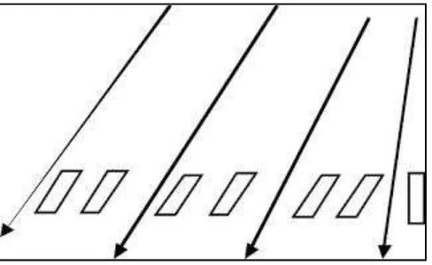 Gambar 2.6 Konstruksi Grid Linier(Bushong, 2001) 