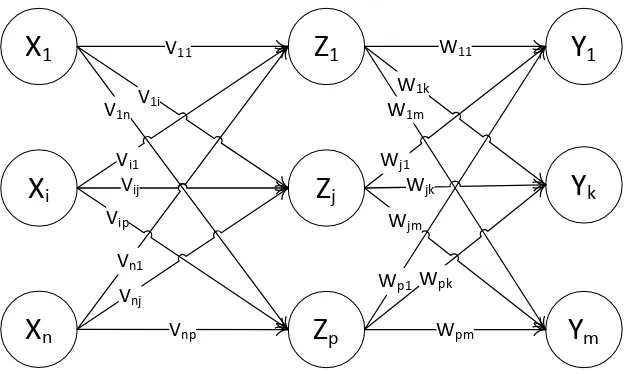 Figure 4 Forward only counterpropagation architecture. 