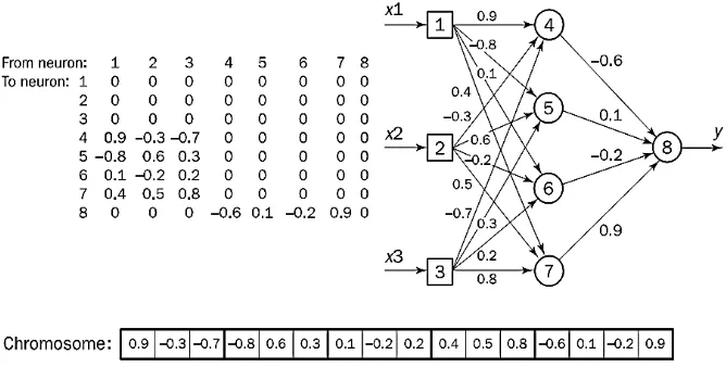 Figure 5 Encoding a network into a chromosome. 