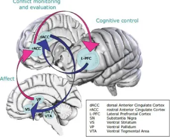 Gambar 1. Interkoneksi Area Kognitif (Rasional) dan  Afektif  (Irasional/Emosional)