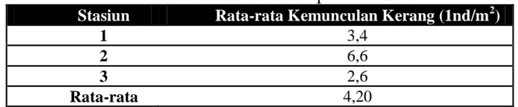 Tabel 3. Jumlah Rata-rata Frekwensi Kemunculan kerang                         Pharellaacutidens tiap stasiun Sore Hari