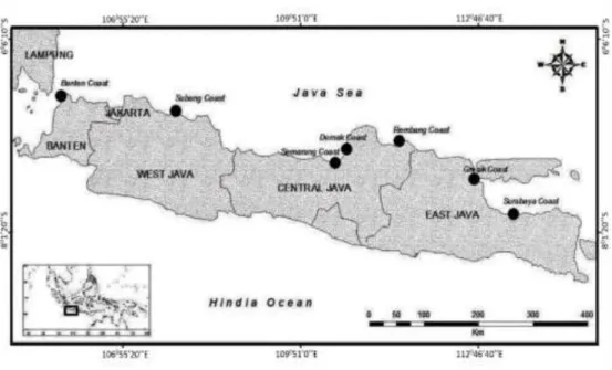 Gambar 1. Peta lokasi pengambilan Tachypleus gigas pada daerah Banten, Subang,  Semarang, Demak, dan Surabaya
