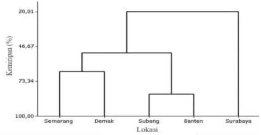 Gambar 4.  Dendrogram karakter morfometrik Tachypleus gigas pada daerah  Semarang, De- De-mak,  Subang,  Banten, dan Surabaya