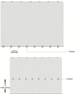 Gambar  1.  Peletakan  Umpan  pada  Bottom Set Gill Net  Hipotesis Penelitian 