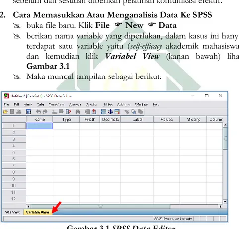 Gambar 3.1 SPSS Data Editor 
