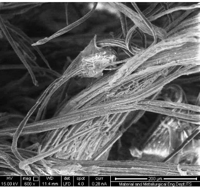 Figure 5 SEM micrographs of bagasse fibers (a) untreated fibers (c) fibers after NaOH treatmentfor 2 hours (d) fibers after NaOH treatment for 4 hours (e) fibers after NaOH treatment for 6 hours; (b) schematic structure of a natural fiber before and after a treatment[27]   