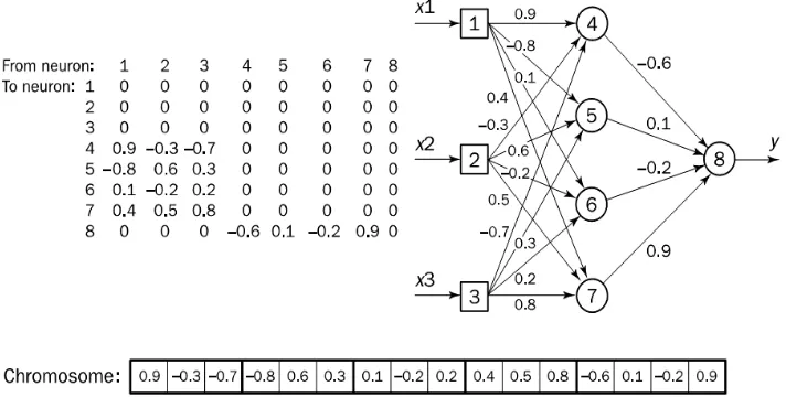 Figure 4. Encoding a network into a chromosome 