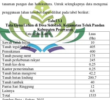 Tabel 3.1 Tata Guna Lahan di Desa Sidodadi, Kecamatan Teluk Pandan 