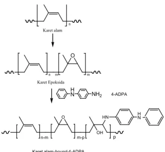 Gambar 1.  Reaksi pengikatan 4-ADPA ke dalam  karet  alam  melalui  gugus  epoksi  (Klinpituksa  et  al., 2011)