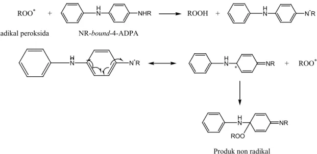 Gambar 6.  Mekanisme NR-bound-4-ADPA mencegah oksidasi karet alam pada tahap propagasi rantai  (R= karet alam).