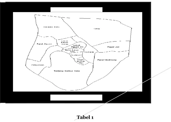 Gambar 1: sketsa peta kecamatan Lubuk Pakam 