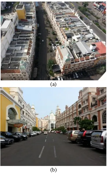 Fig. 1. (a) Rows of flat concrete rooftops of shop-office houses; (b) Rows of front image of shop-office houses in business complex 