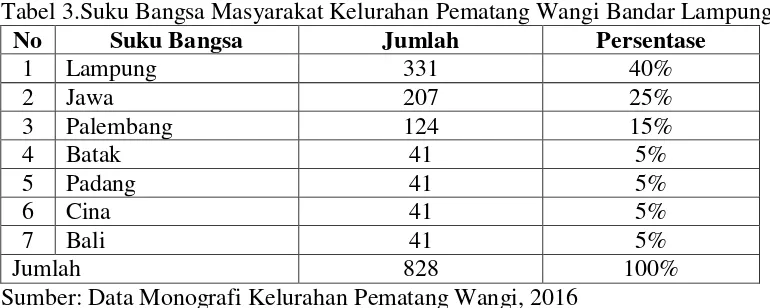Tabel 3.Suku Bangsa Masyarakat Kelurahan Pematang Wangi Bandar Lampung 