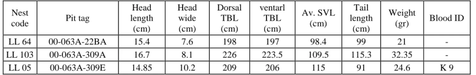Table 2.  Komodo betina produktif penghuni sarang aktif 2004  Nest 
