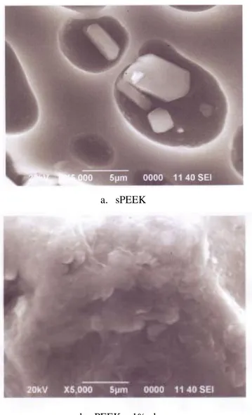 Gambar 6. Hasil SEM membran sPEEK (a) dan  sPEEK+1% clay (b) (perbesaran 5000 X)     