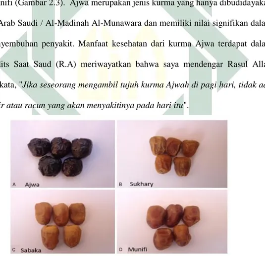 Gambar 2.3.Macam-macam Kurma (Rahmani et al, 2014) 