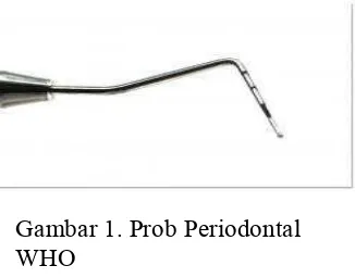Gambar 1. Prob Periodontal 