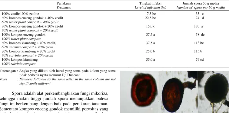 Gambar 2. Spora mikoriza sp  Figure   2. Mycorrhizal spores 