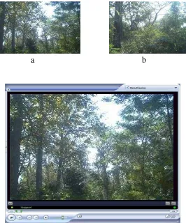 Gambar 3.4. ( a,b ) Kawasan Hutan Lindung dan 