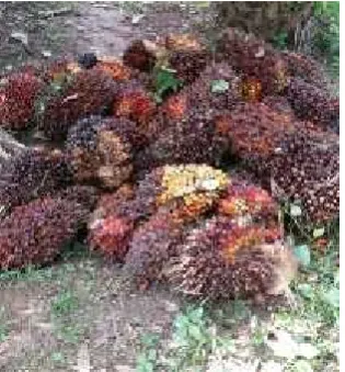Gambar 2.