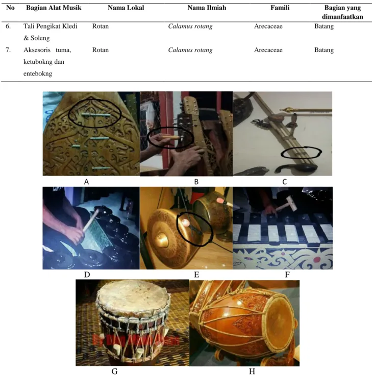 Gambar  1.      Macam-macam  atribut  dan  aksesoris  alat  musik  tradisional  khas  Suku  Dayak  (A)  Grip  sape’,  (B)Kuping  sape’, (C) Tali pengikat  kledi, (D)  Stickkenong,  (E)  Stick  gong,  (F)  Stick sensaaron,  (G)aksesoris ketubokng, (F)akseso